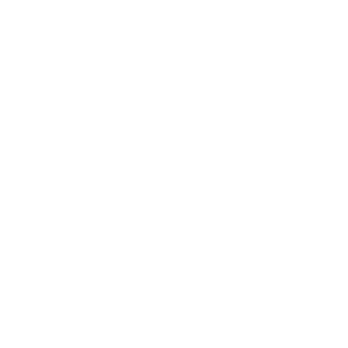 SINAPSY